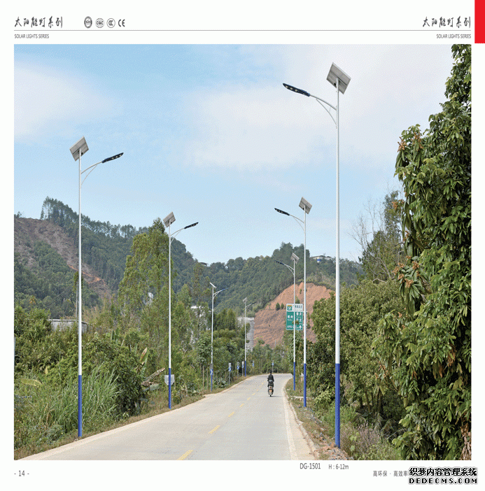 太陽(yáng)能路燈020